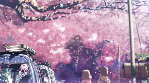 她让小小蝴蝶兰开出“致富花”