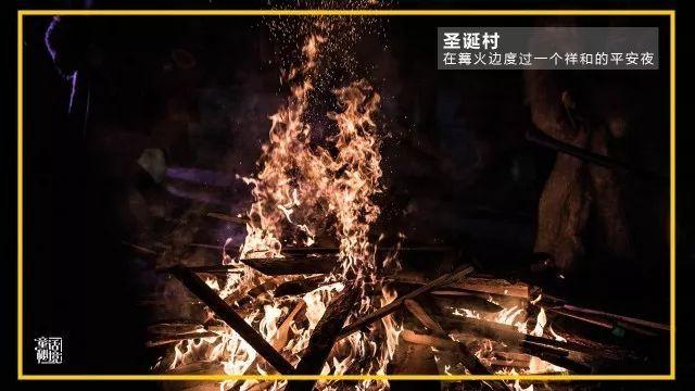 动物帮帮忙保卫家园
